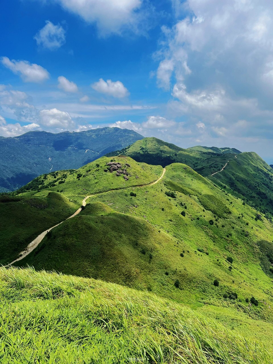 微信图片_20251208180325_148_4