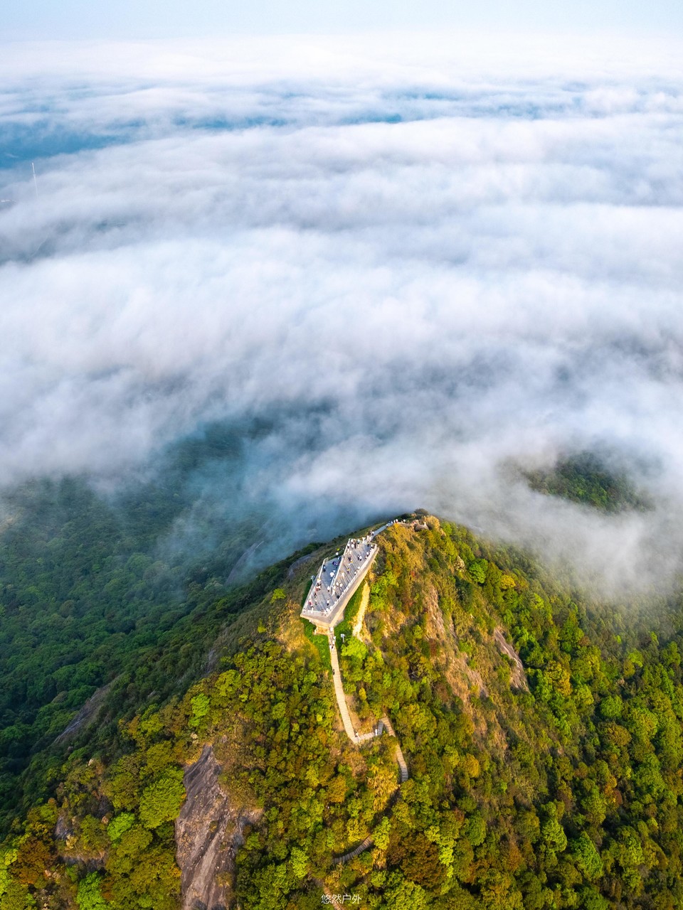 微信图片_20251209152456_39_61