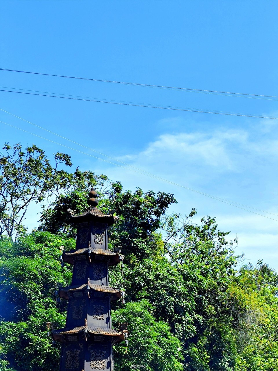 微信图片_20251209160608_64_61