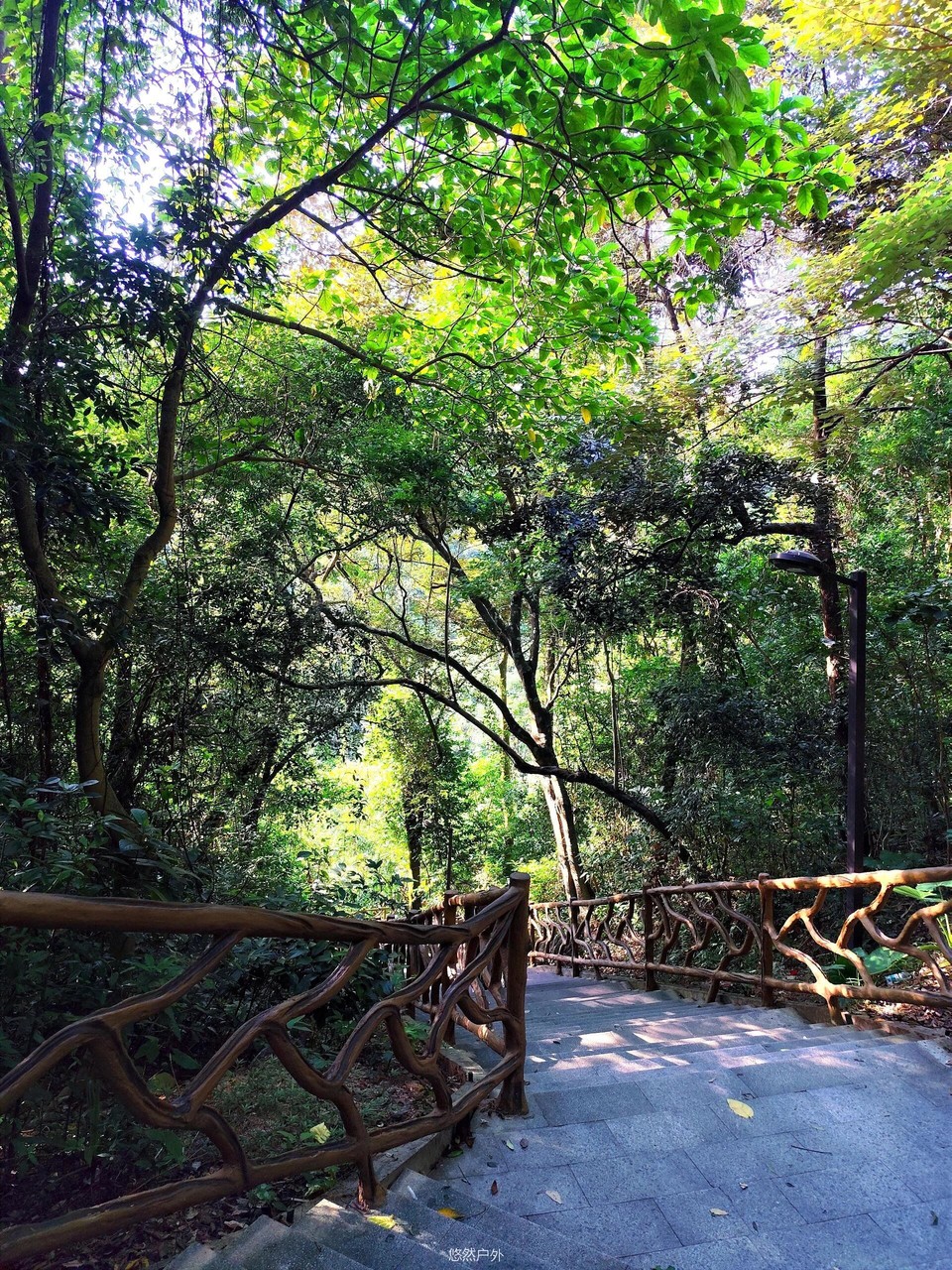 微信图片_20251209160618_67_61