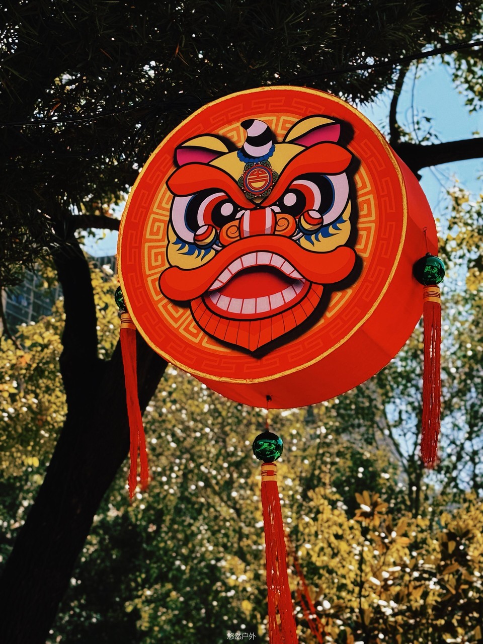 微信图片_20251209164753_101_61