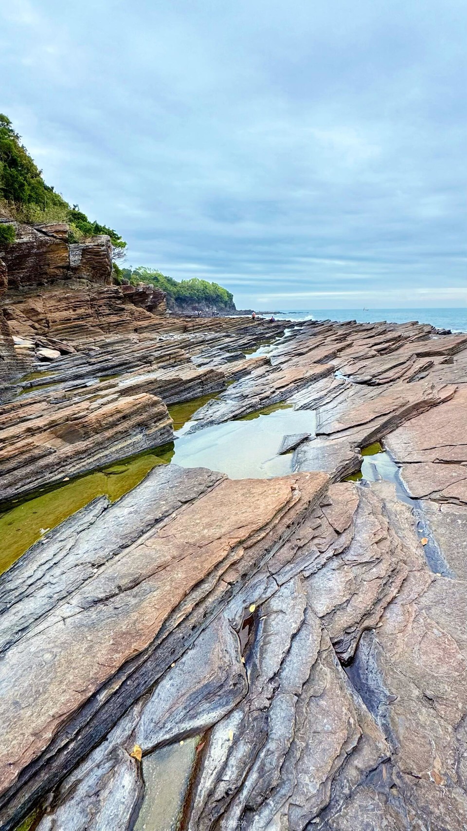 微信图片_20251212143649_58_62