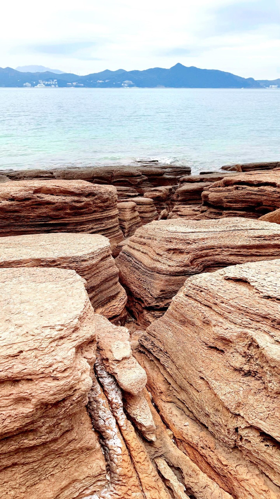 微信图片_20251212143650_59_62