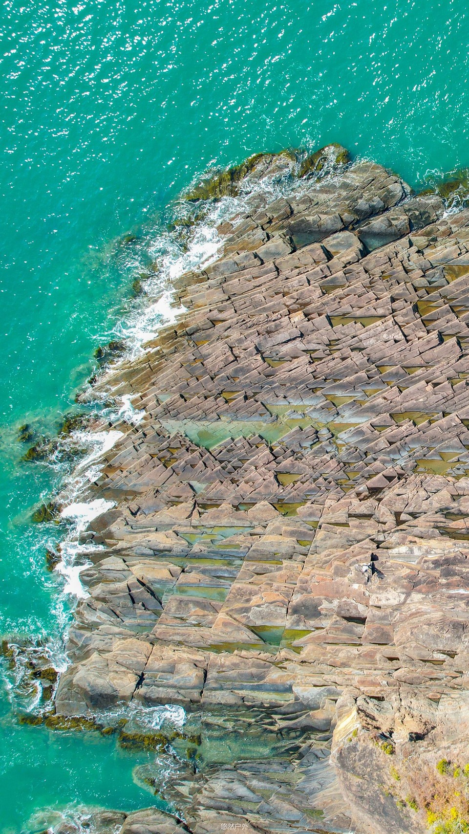 微信图片_20251212143654_61_62