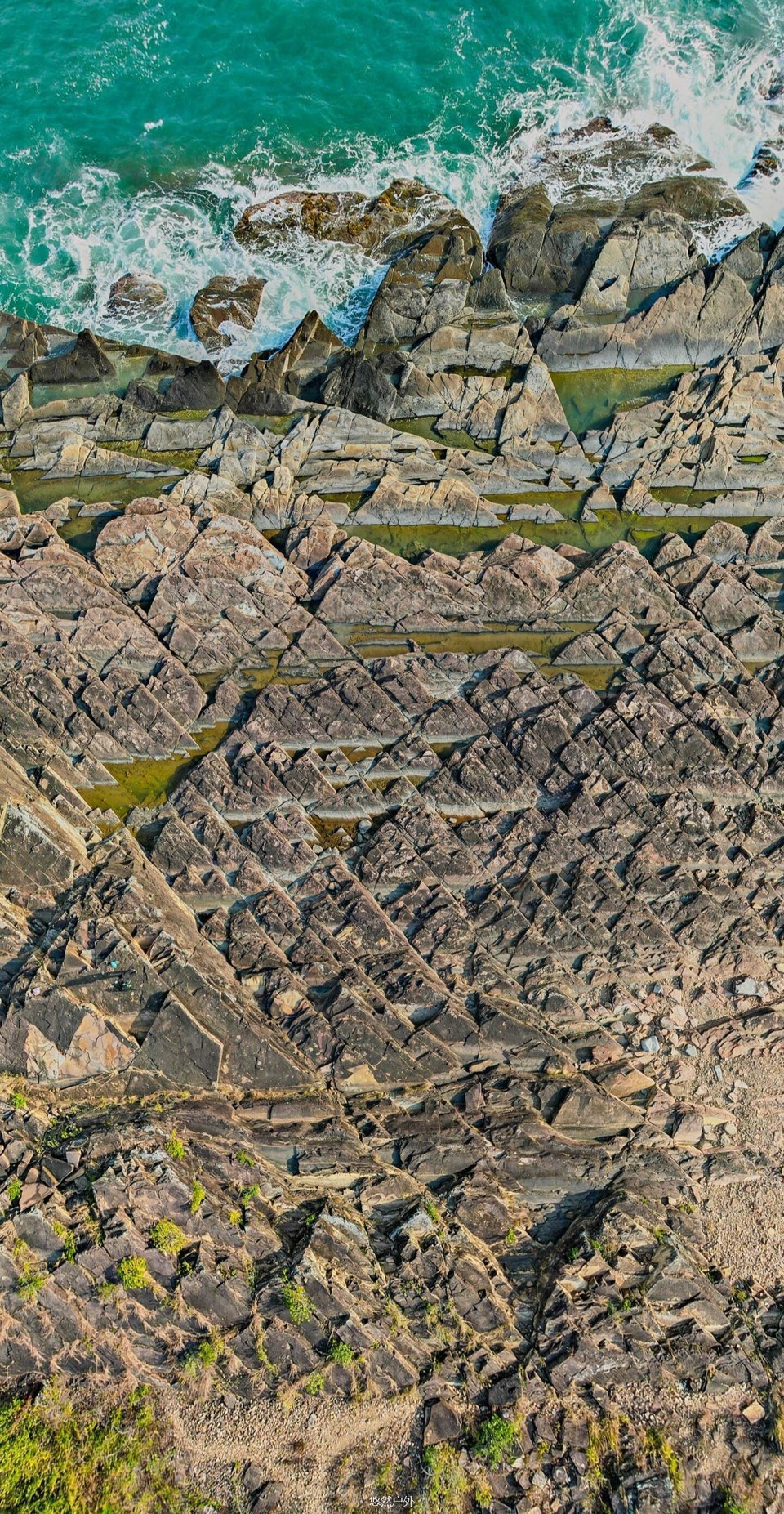 微信图片_20251212143657_64_62