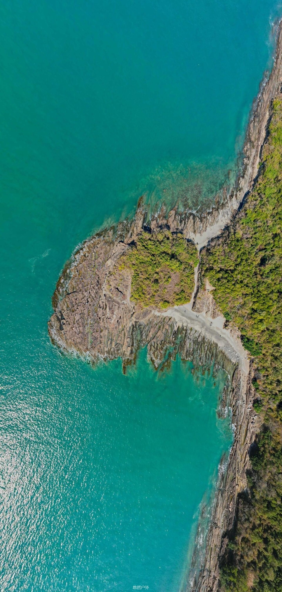 微信图片_20251212143659_66_62