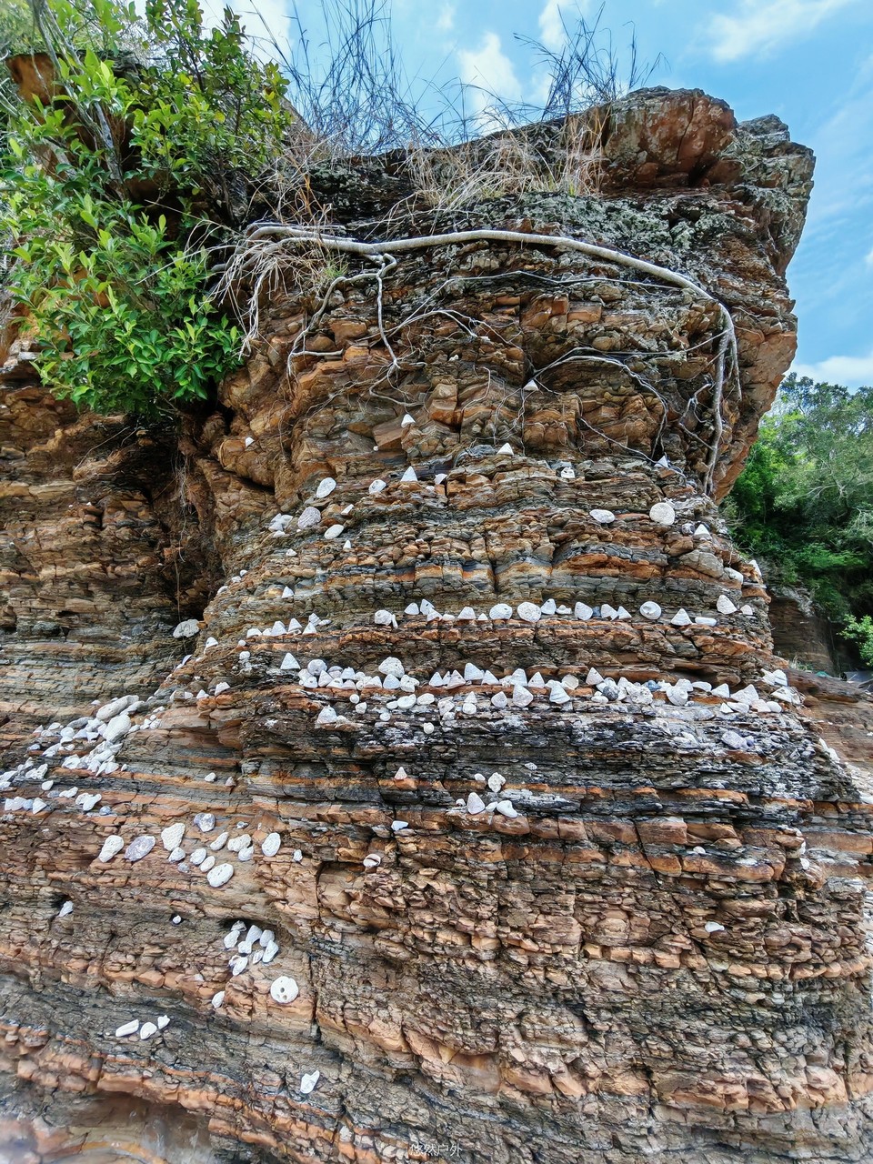 微信图片_20251212143707_71_62