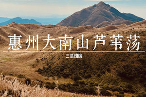 12.20周六【芦苇花开】，打卡惠州大南山体验高山草原，满山芦苇花开！