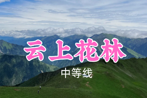 即将成团！转发返现！特价89元起！小宇领队！6.30【云上花林10公里】高山杜鹃花开啦，登巴郎山小众秘境，远眺幺妹峰~