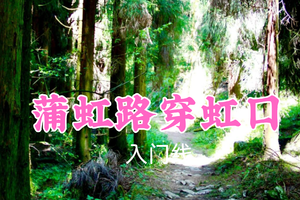 即将成团！转发返现！特价39元起！聂超领队！7.1周三【蒲虹路穿虹口10公里】原始森林野趣路线~