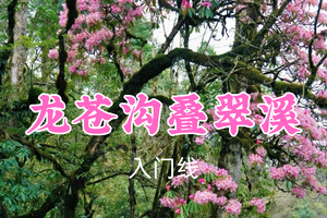 转发返现！特价89元起！攀队领队！7.2周四【龙苍沟·叠翠溪9公里】来叠翠溪吸氧领奖牌啦~