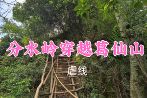 即将成团！转发返现！49元起！人才领队！6.30【彭州分水岭穿越葛仙山A线19公里】人才领队！沉浸式丛林吸氧徒步 ~