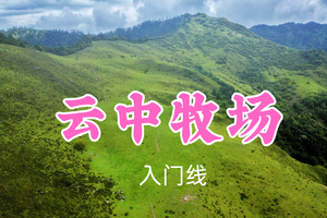 即将成团！转发返现！特价79元起！桃子领队！7.1周三【云中牧场5公里】打卡网红秋千，沉浸式畅游高山牧场~