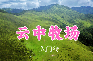 即将成团！转发返现！特价79元起！桃子领队！7.1周三【云中牧场5公里】打卡网红秋千，沉浸式畅游高山牧场~