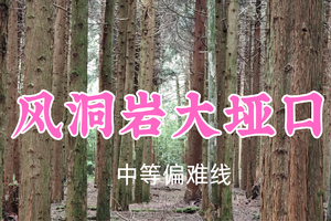 即将成团！转发返现！59元起！聂超领队！7.2周四【南宝山风洞岩大垭口环线15公里】穿行南宝山风洞岩，吸氧+徒步双治愈~
