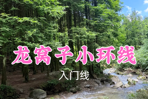 即将成团！转发返现！特价59元起！聂超领队！6.30周二【龙窝子小环线12公里】夏日徒步好去处！踏溪玩水沉浸式逛山野~