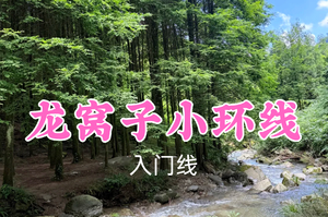 即将成团！转发返现！特价59元起！攀队领队！7.1周三【龙窝子小环线12公里】夏日徒步好去处！踏溪玩水沉浸式逛山野~