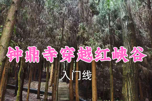 即将成团！转发返现！69元起！人才领队！7.2周四【钟鼎寺穿越红峡谷9公里】漫步原始竹海洗肺一日行~