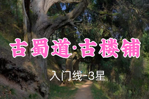 开业免单！特价99元起！3.8周日【古蜀道·古楼铺12公里】人文历史徒步的天花板，邂逅2000颗皇柏古道