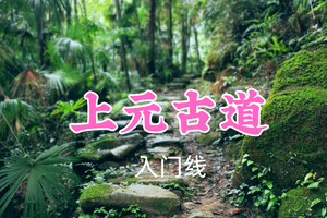 开业免单！特价69元起！3.8周日【上元古道8.8公里】穿梭原始森林中的天然氧吧，远眺青城山群峰