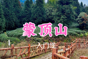 开业免单！特价69元起！3.7周六【蒙顶山10公里】漫步“仙茶故乡”蒙顶山茶，打卡天然的“森林氧吧”