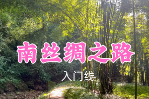 开业免单！特价39元起！3.8周日【南丝绸之路10公里】探寻南丝路茶马古道竹林，探索历史遗迹