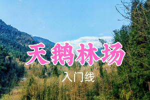 开业免单！特价59元起！3.8周日【天鹅林场10公里】徒步成都周边知名的原始秘境森林