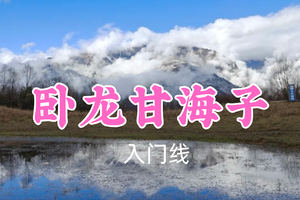 开业免单！特价69元起！3.8周日【卧龙甘海子6公里】漫步高山草甸，邂逅云上风光