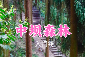 开业免单！特价39元起！3.8周日【中坝森林6公里】徒步现实版的“暮光之城”拍好看的森系大片，品海窝子古镇美食~