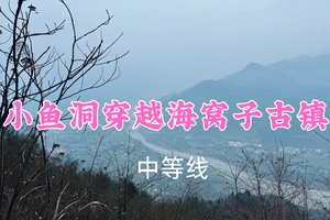 开业免单！特价69元起！3.8周日【小鱼洞穿越海窝子古镇20公里】原始森林穿越，感受湔江河谷风光