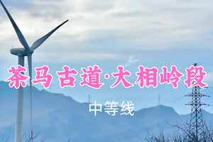 开业免单！特价99元起！3.7周六【茶马古道·大相岭段14公里】徒步千年古道，邂逅巨型风车矩阵