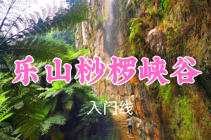 开业免单！特价89元起！3.8周日【乐山桫椤峡谷7.5公里】走进现实版的“侏罗纪世界”热带雨林
