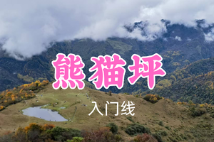 开业免单！特价69元起！3.8周日【熊猫坪10公里】徒步川西私藏的云端牧场，湖畔秋千、牛马成群