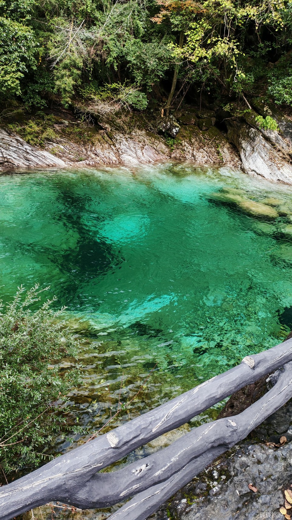 3af5eab4a9721ee32a0c653fe435d5af