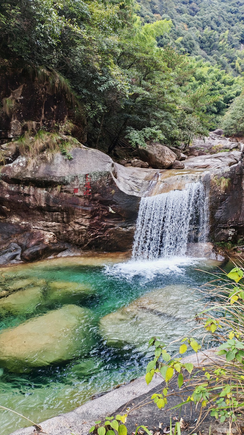 9ed8646d80347eaab41a5fef67c61055