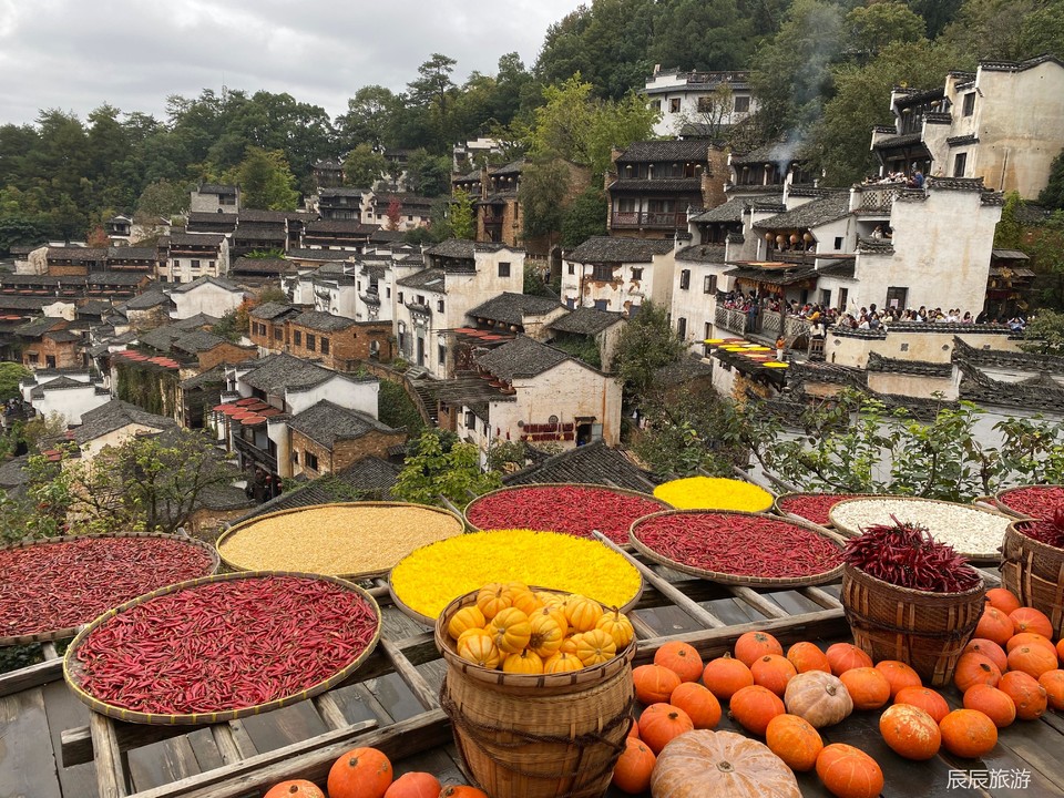 48521e3ce3b4548d4d9d31e7e53c0587