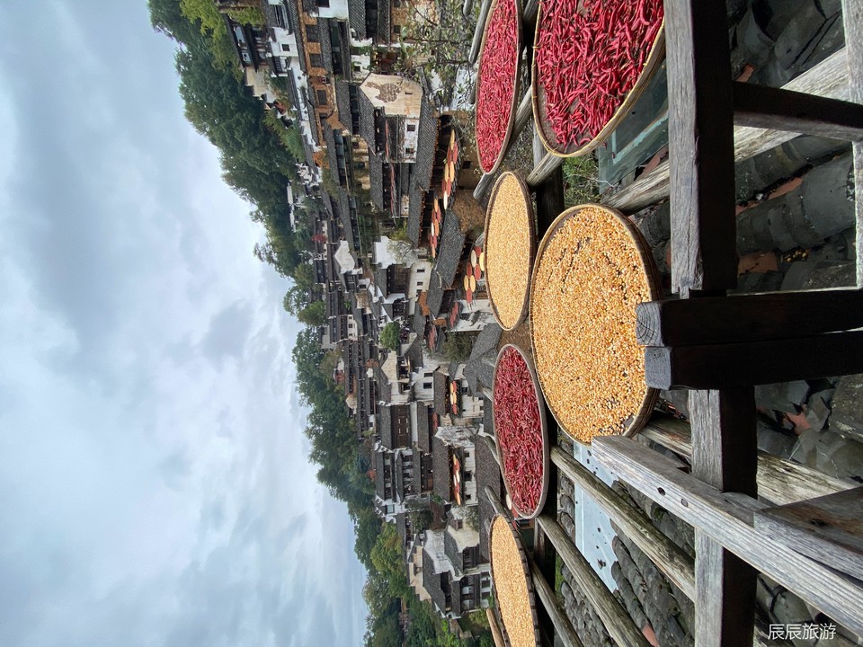 592038e684824a712ac30b88463edbd9