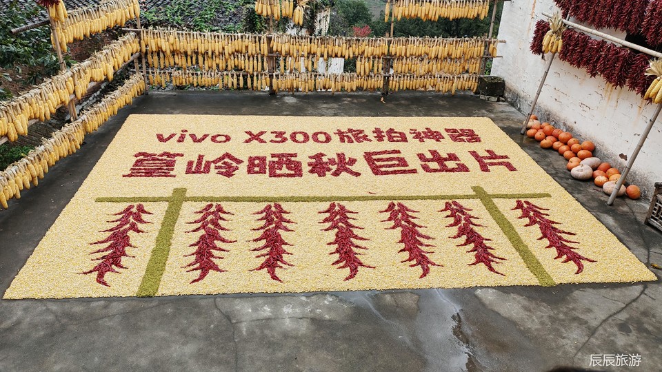 b8a83e358850f227fdca6c7084e55237