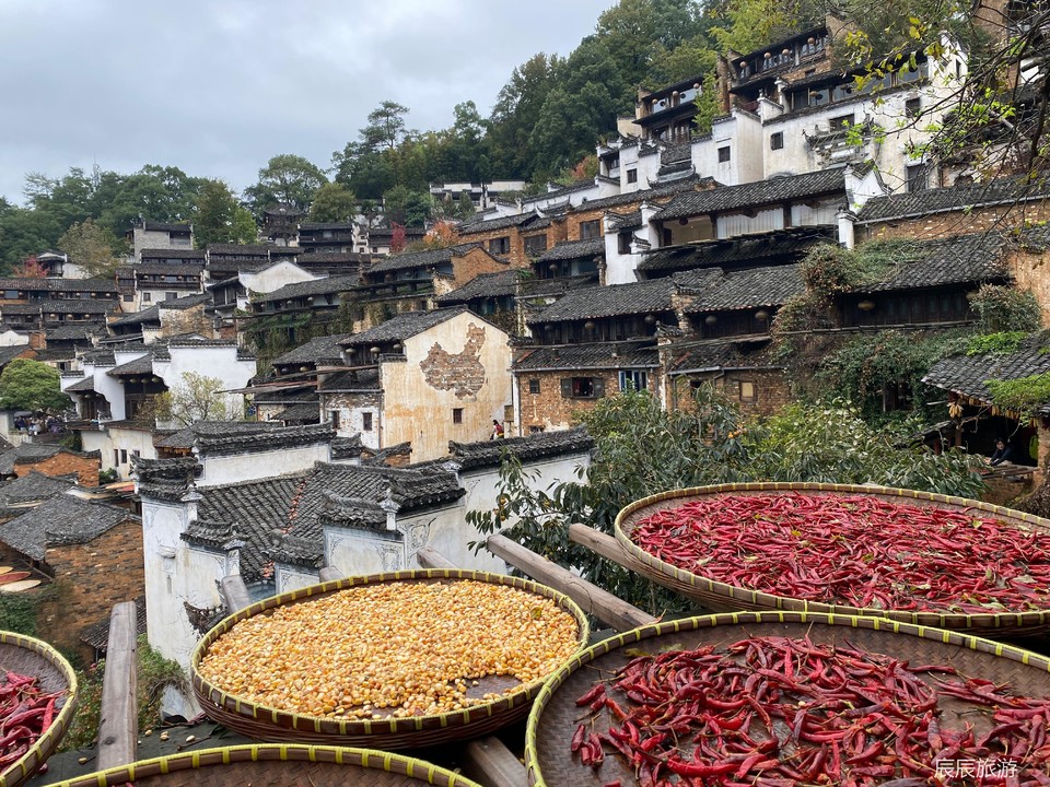 c025817d4d5e21e1a1fee99b82bc0a03