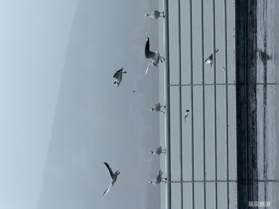 3d7e84c5ac2d2fe50957a881138b5960