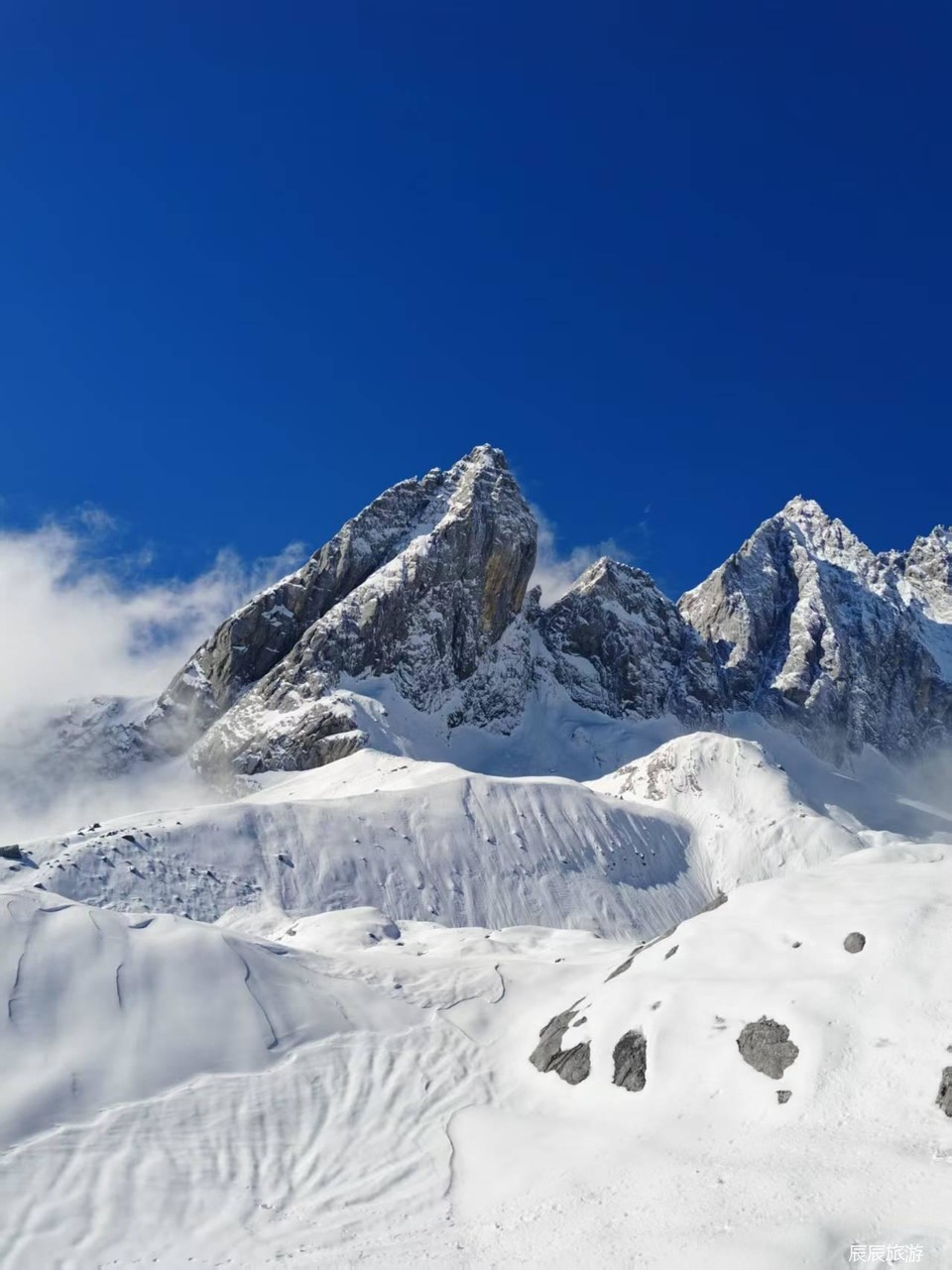 8be9fd0039601fdb0a11a3f21318e0a3