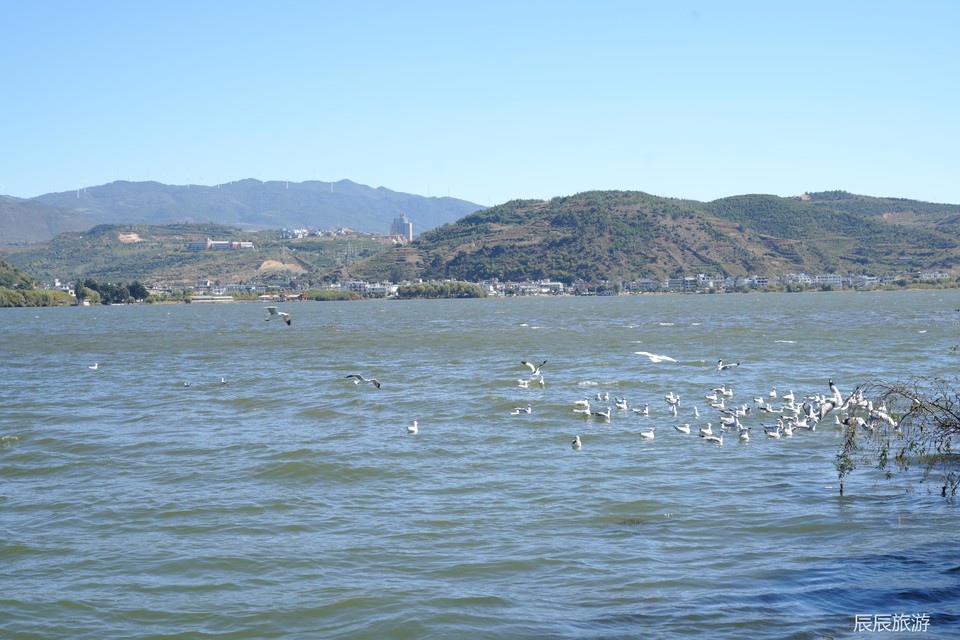 9f5ae39b944b0936b9fe9502bf3dbc06