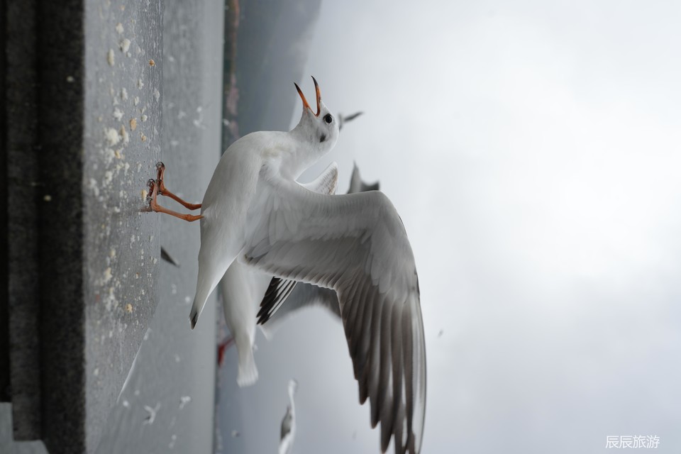 3315a6a7a112556f9bfa2705599f570c