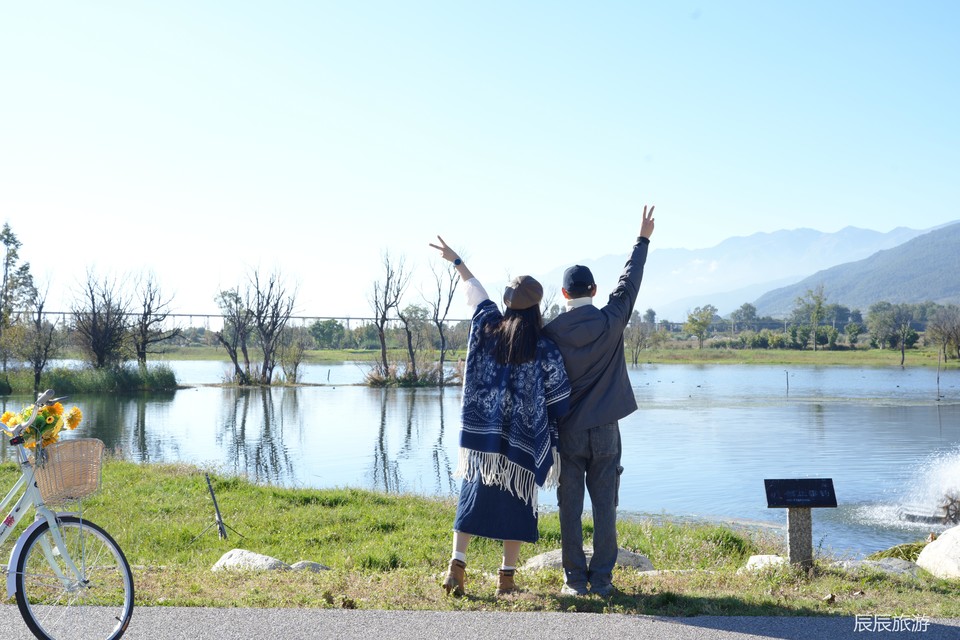 a3bd29aedcc9d9b041ecaa1f95b57d3c