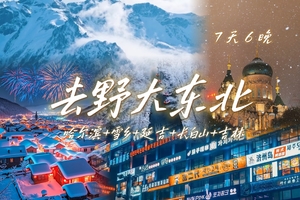 2.7-2.13去野大东北！辰辰旅游独家线路  | 哈尔滨-雪乡-延吉-长白山-吉林一网打尽7天6晚游！