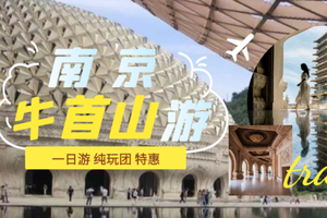 2.21号南京牛首山一日游！经典线路丨辰辰旅游独立成团！