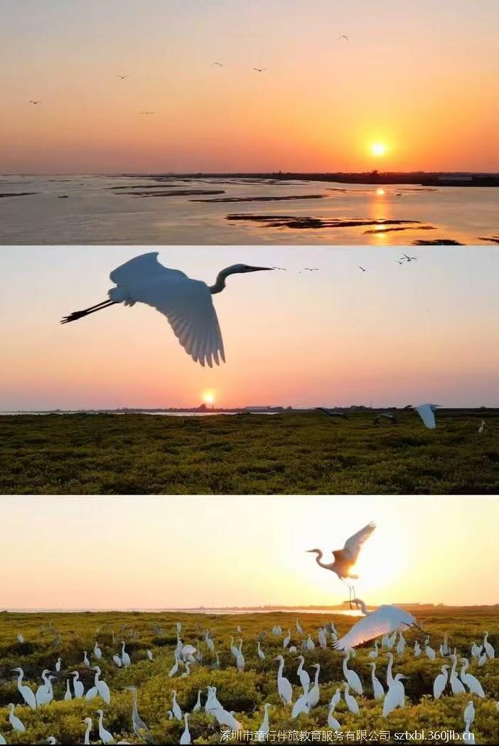 mmexport1765803208373