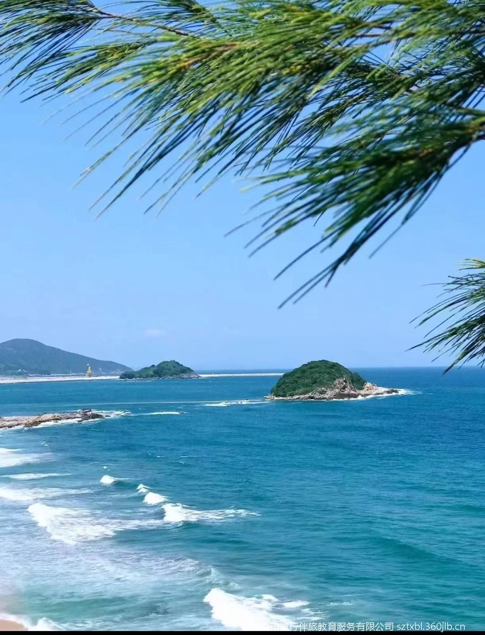 mmexport1765803198733