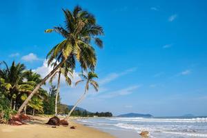 寒假海南6天5晚纯玩团1月31出团