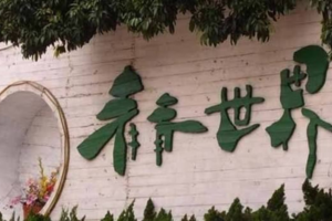 青青世界一日游（只接受包团）